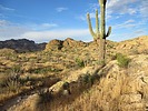 photo thumbnail #6