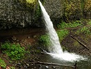 photo thumbnail #8