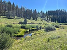 photo thumbnail #1