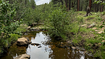 photo thumbnail #13