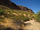 photo thumbnail #8