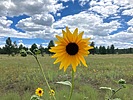 photo thumbnail #1