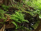 photo thumbnail #14