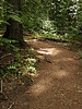 photo thumbnail #10