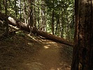 photo thumbnail #11