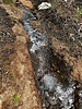 Featured Detail Photo