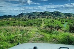 photo thumbnail #3