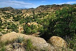 photo thumbnail #7