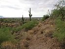 photo thumbnail #2
