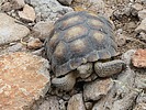 2024-08-18 :2: Meridian Mystery Trail :: wallyfrack