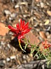 2024-08-18 :1: Derrick - Horton Loop :: rayhuston