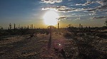 photo thumbnail #3