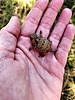 photo thumbnail #12