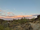 photo thumbnail #3