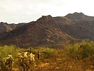 photo thumbnail #1
