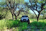 photo thumbnail #3
