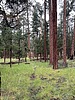 photo thumbnail #14