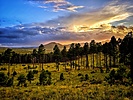 photo thumbnail #10