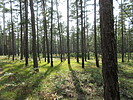 photo thumbnail #9