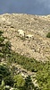 2024-08-23 :1: Mt Nebo - Utah County :: ddgrunning