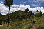 photo thumbnail #15