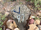 photo thumbnail #13