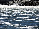 photo thumbnail #15