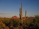 photo thumbnail #3