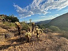 photo thumbnail #6