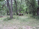 photo thumbnail #4