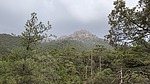 photo thumbnail #14