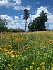 photo thumbnail #15