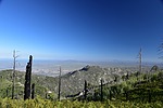 photo thumbnail #11