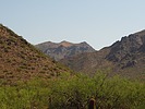 photo thumbnail #9