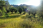 photo thumbnail #2