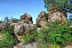 photo thumbnail #7