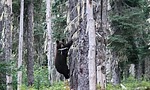 2024-09-03 :1: Tuck and Robin Lakes & Granite Mtn 7144 :: fdv75