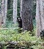 2024-09-03 :1: Tuck and Robin Lakes & Granite Mtn 7144 :: fdv75