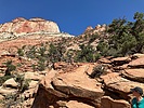 photo thumbnail #12