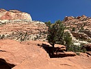 photo thumbnail #14