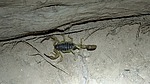 photo thumbnail #6