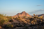 photo thumbnail #2