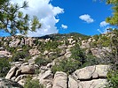 photo thumbnail #10