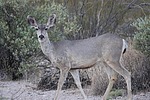 photo thumbnail #2