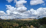 photo thumbnail #7