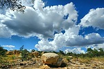 photo thumbnail #14