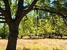 2024-09-19 :1: Reavis Ranch via 109 South :: joebartels