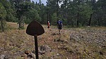 photo thumbnail #6