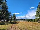 Featured Full Photo