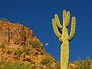photo thumbnail #7